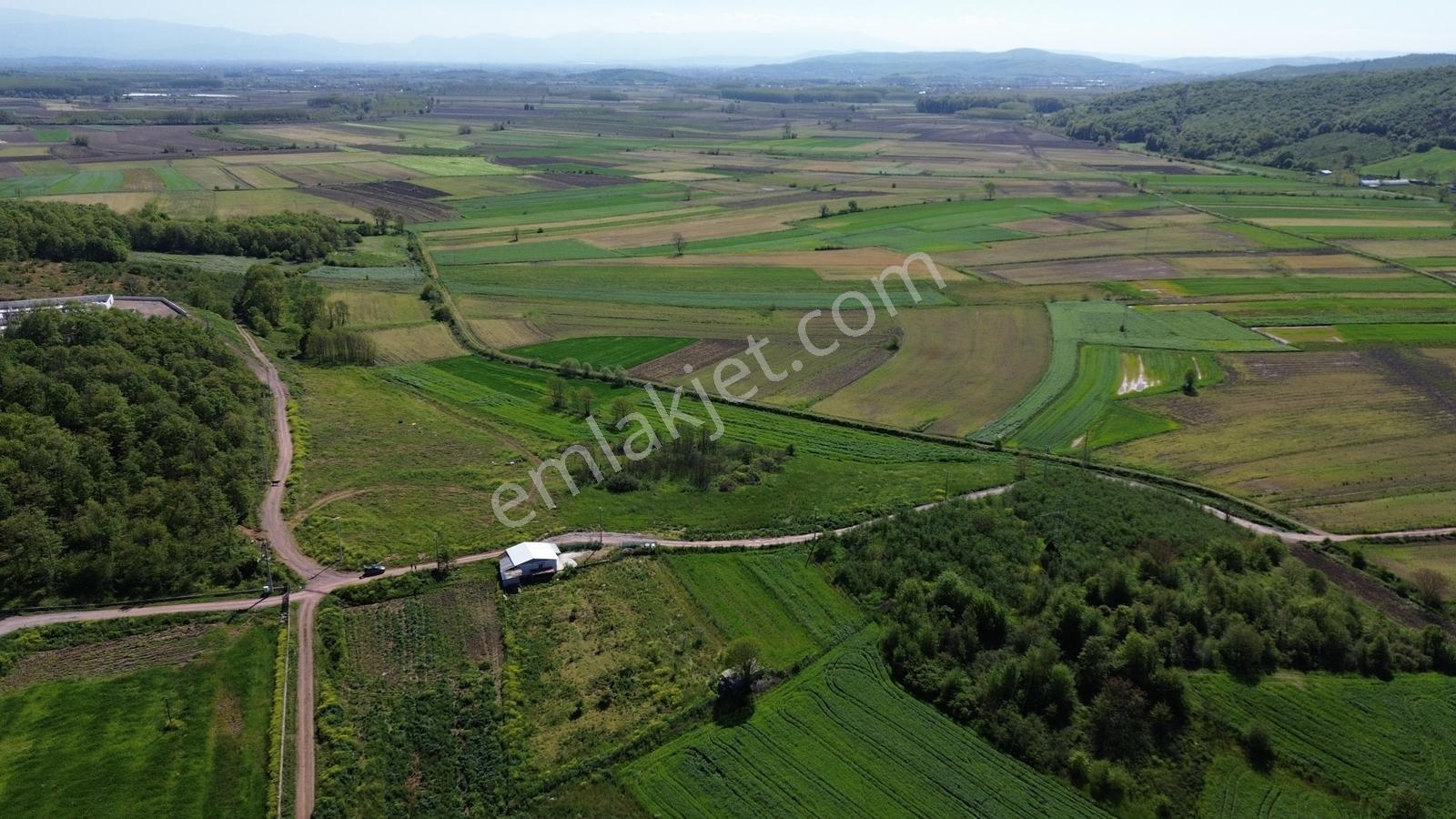 Yeniköy Mahallesinde 3273m2 İçerisinde 1+1 70m2 Evi Olan Tarla - Görsel 19