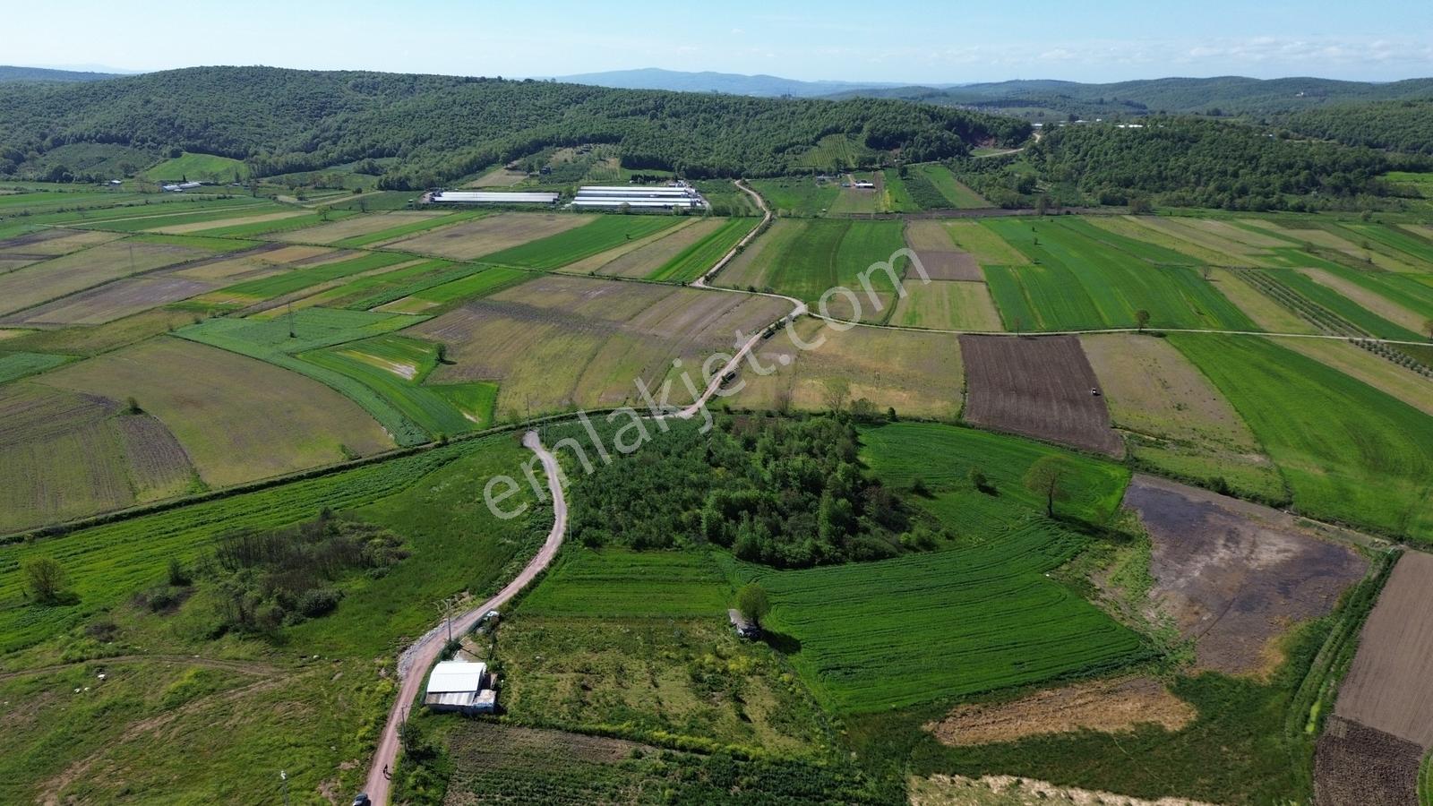 Yeniköy Mahallesinde 3273m2 İçerisinde 1+1 70m2 Evi Olan Tarla - Görsel 7