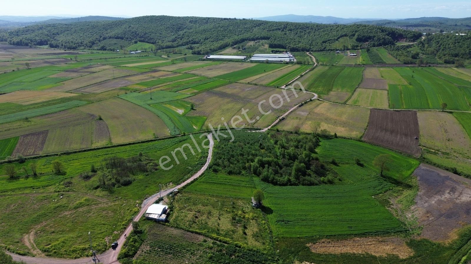Yeniköy Mahallesinde 3273m2 İçerisinde 1+1 70m2 Evi Olan Tarla - Görsel 2