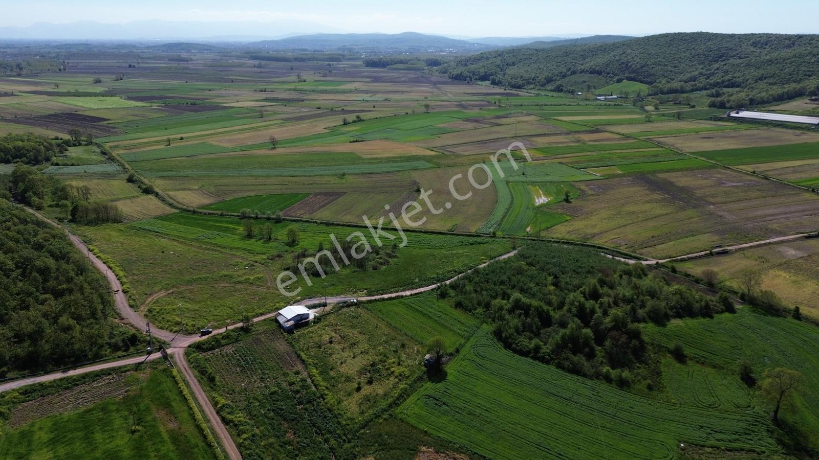 Yeniköy Mahallesinde 3273m2 İçerisinde 1+1 70m2 Evi Olan Tarla - Görsel 16