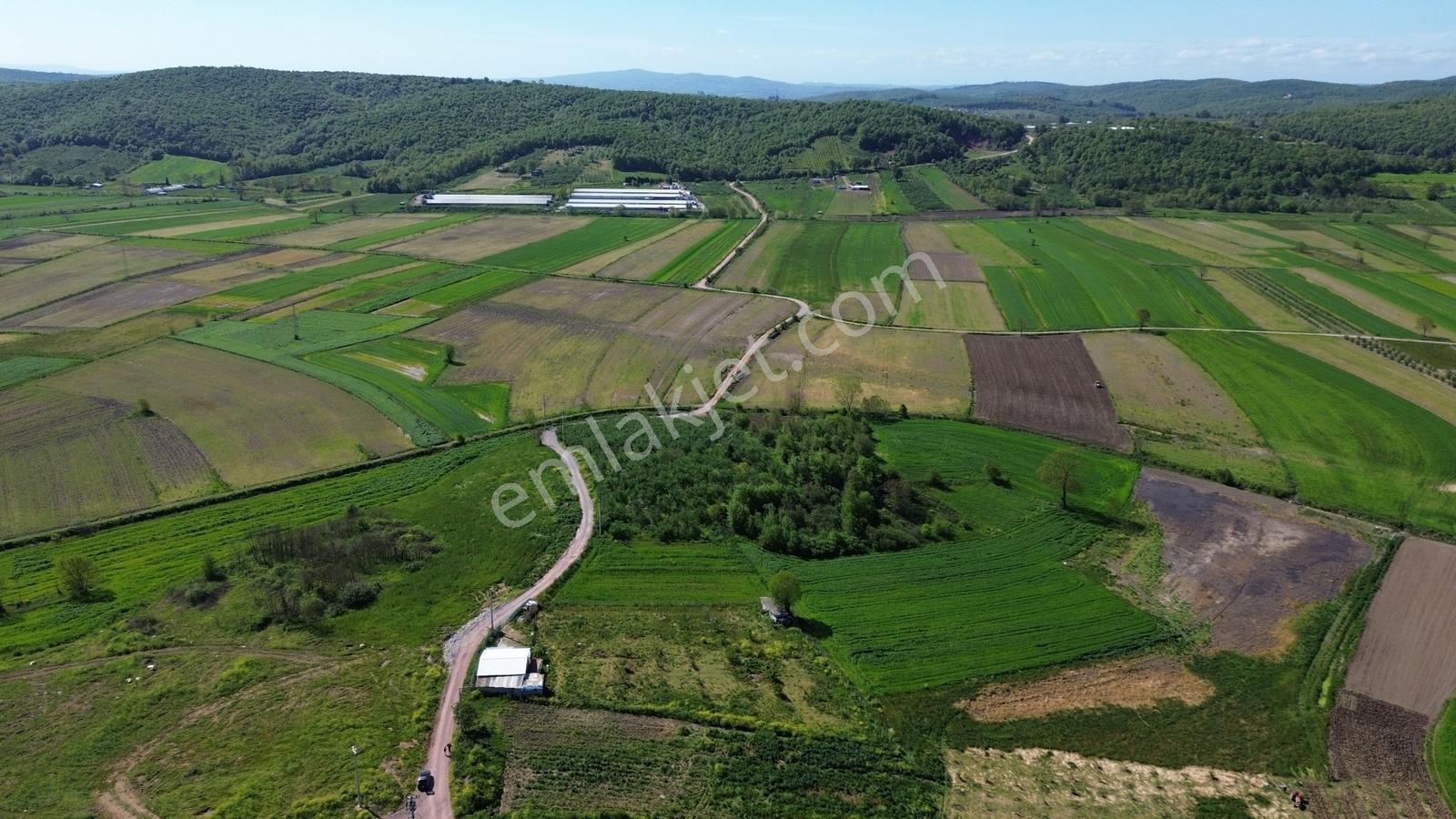 Yeniköy Mahallesinde 3273m2 İçerisinde 1+1 70m2 Evi Olan Tarla - Görsel 32