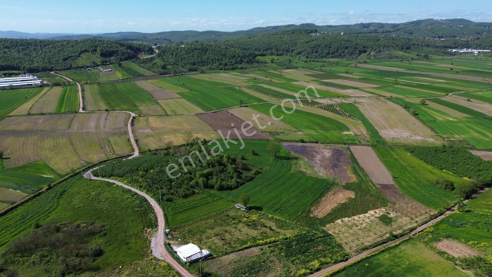 Yeniköy Mahallesinde 3273m2 İçerisinde 1+1 70m2 Evi Olan Tarla - Görsel 31