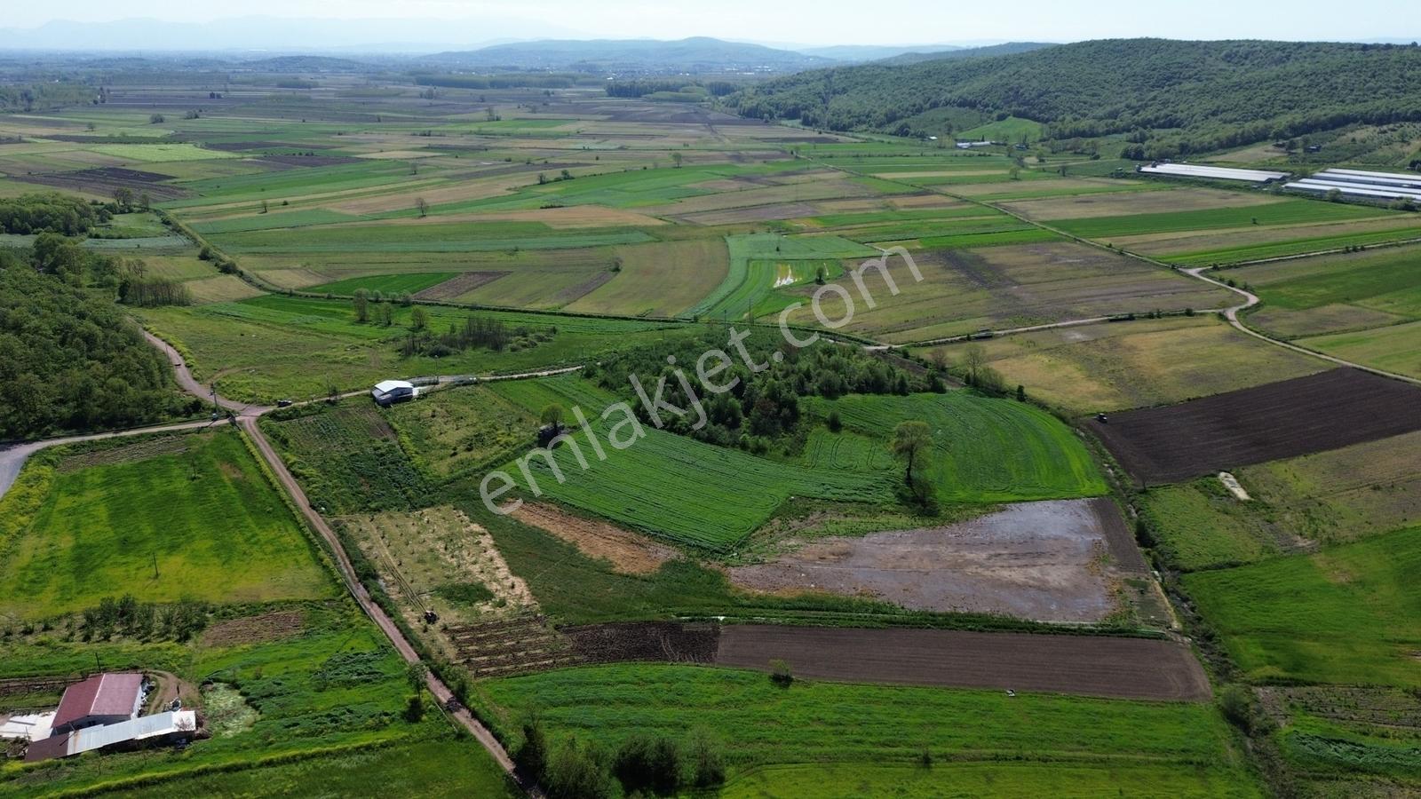 Yeniköy Mahallesinde 3273m2 İçerisinde 1+1 70m2 Evi Olan Tarla - Görsel 27