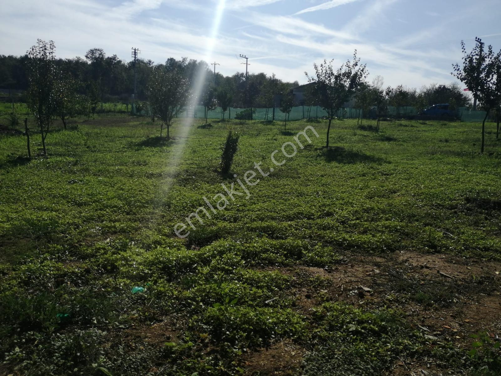 Yeniköy Mahallesinde 3273m2 İçerisinde 1+1 70m2 Evi Olan Tarla - Görsel 23