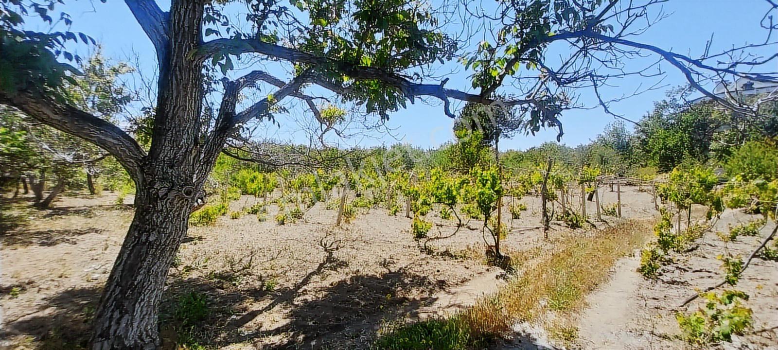 Hacılar Akdamda 1822 M2 Tek Tapu Köşe Başı İmarlı Villa Parseli - Görsel 2