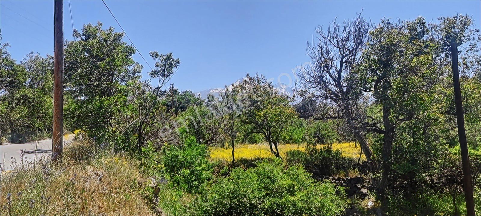 Hacılar Akdamda 1822 M2 Tek Tapu Köşe Başı İmarlı Villa Parseli - Görsel 3
