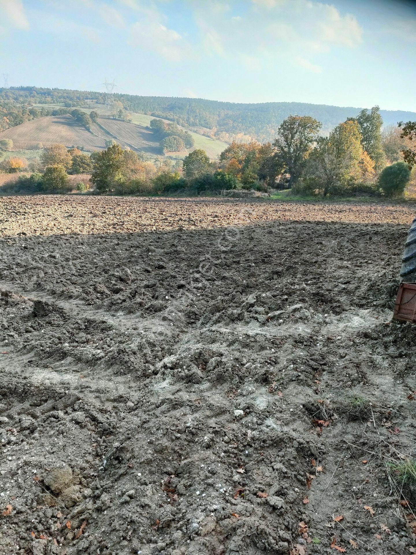 Sahibinden Acil Satılık Yatırımlık Verimli Tarla - Görsel 3