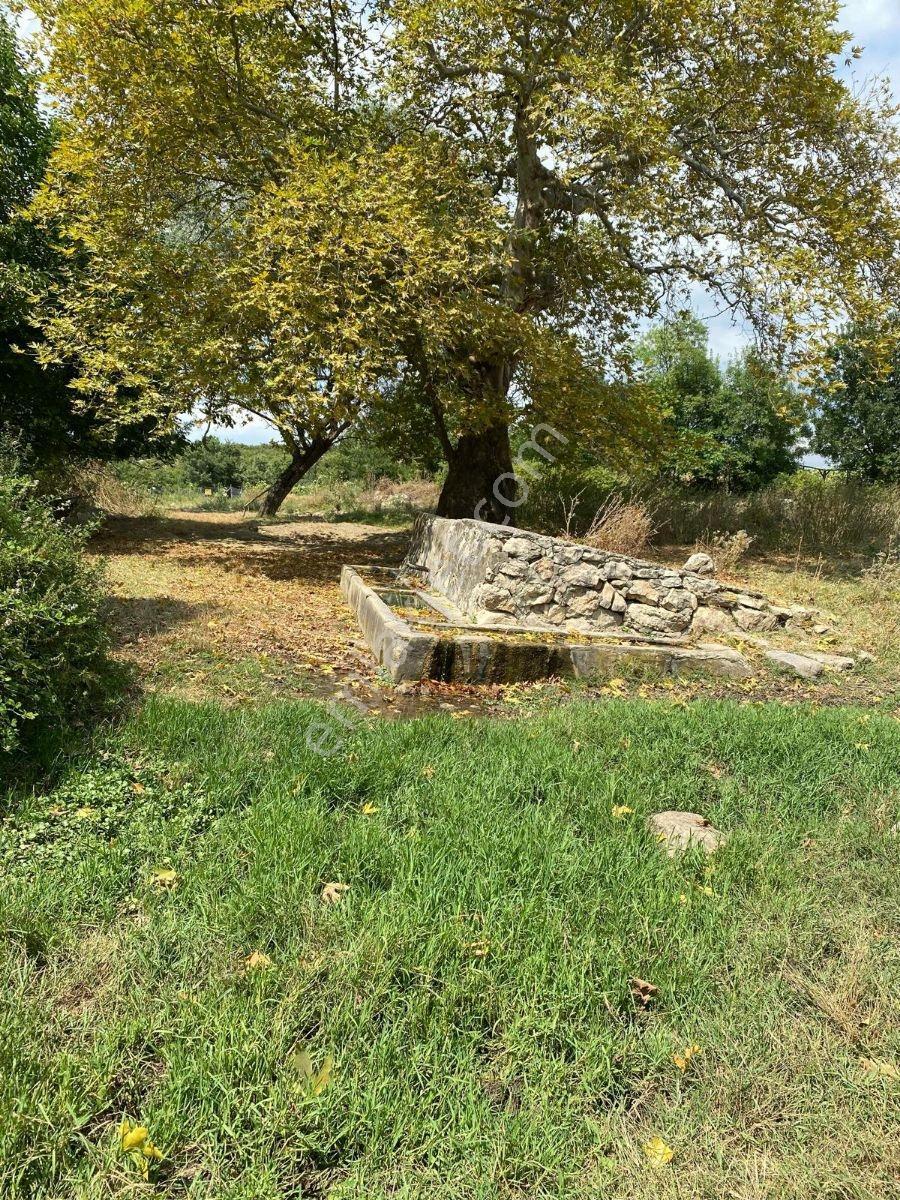 Fiyatı Düştü! Bursa Yenişehir'de 3110 M2 Mükemmel Arsa
