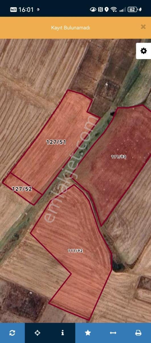 Bahçedere De 5577 M2 İki Parsel Yan Yana Kadastro Yolla Cephe - Görsel 7