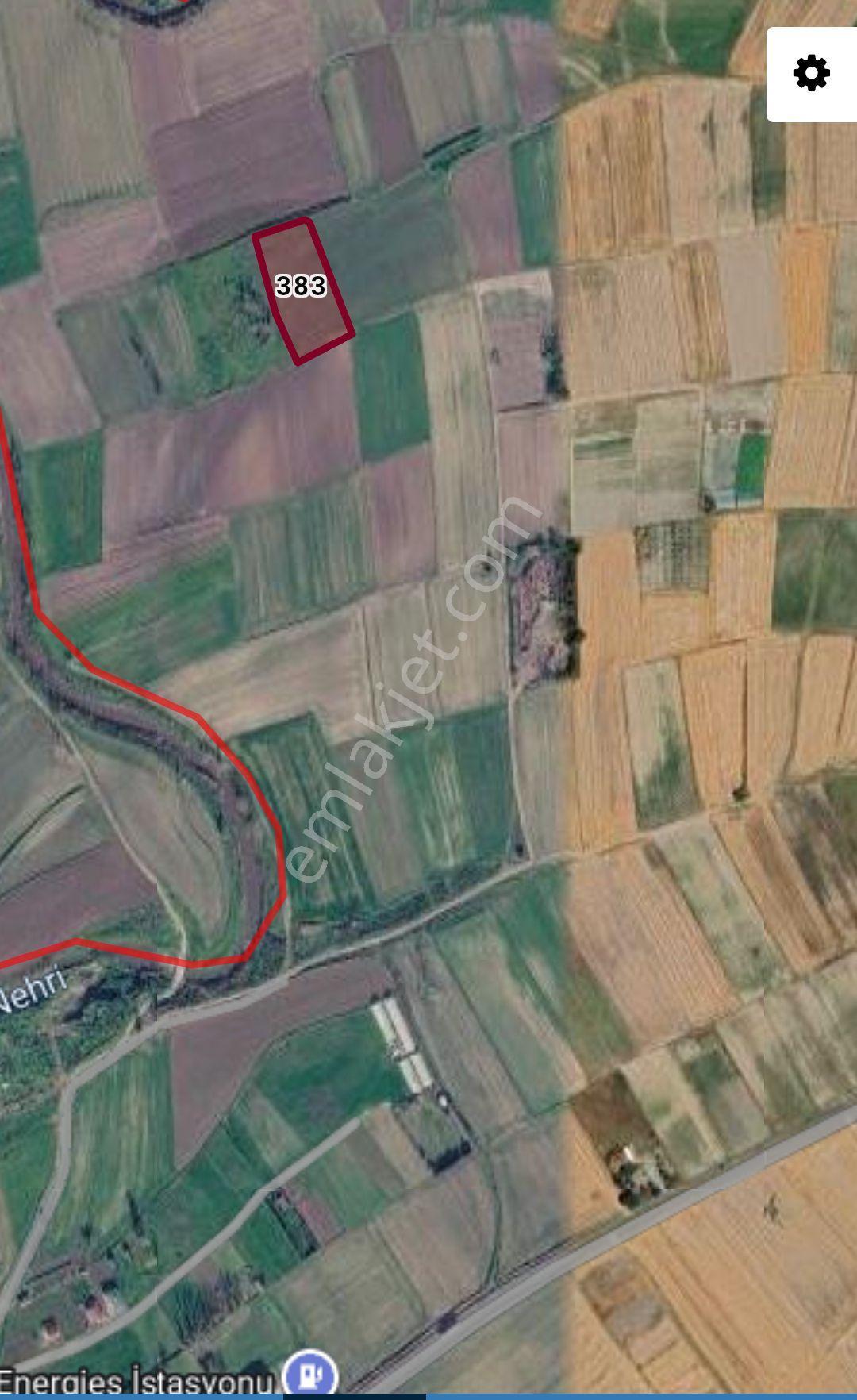 Muratlı Aşağı Sevindikli’de 5100 M² Tek Tapu Satılık Tarla - Görsel 2