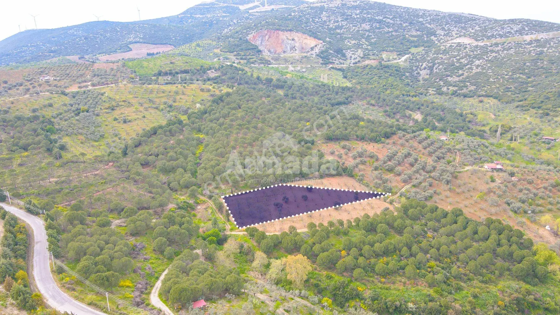 İzmir-selçuk'ta Satılık İncir Bahçesi - Görsel 5