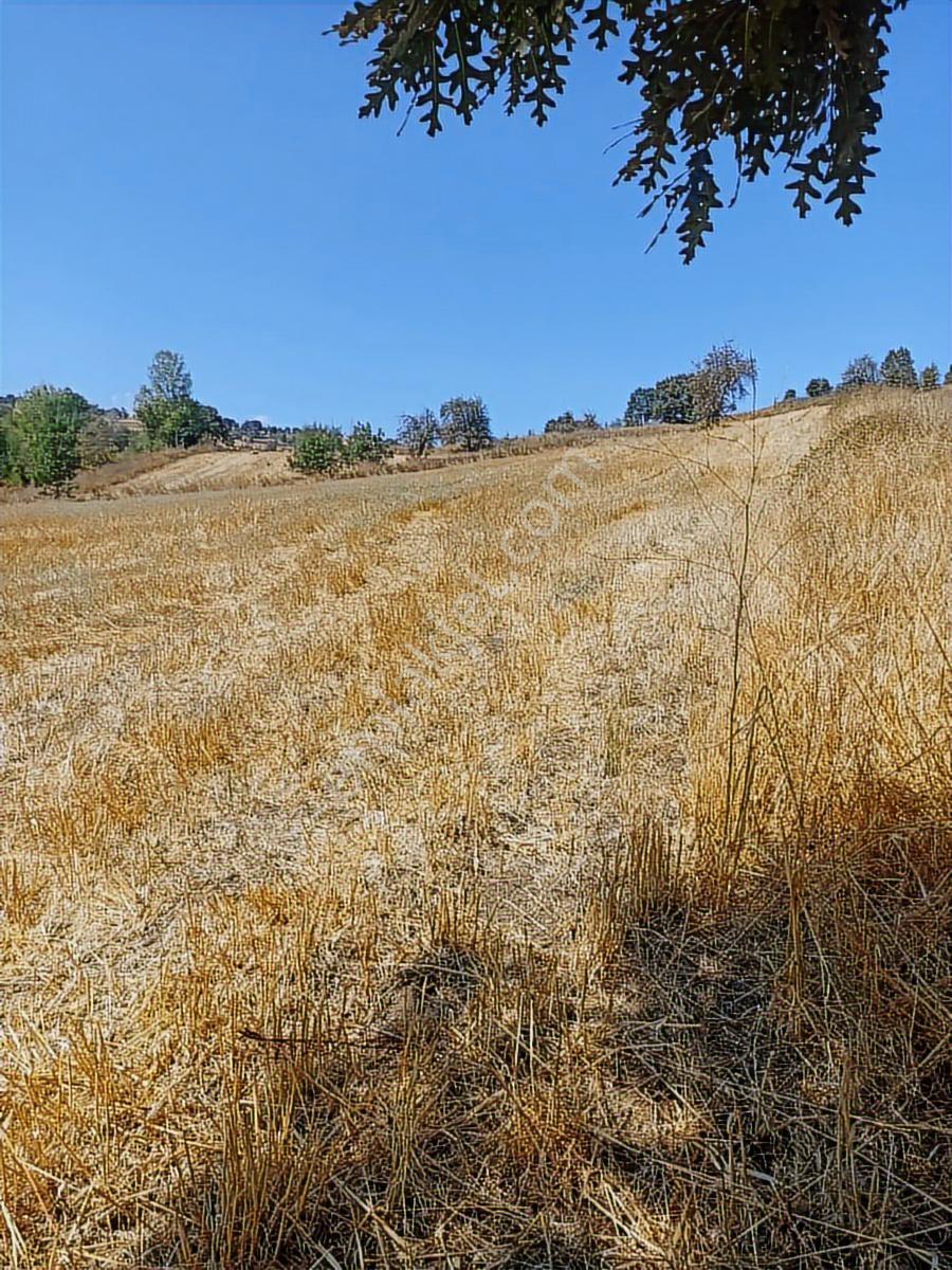 Sinerji'den Mkemalpaşa Devecikonağında 3.700 M² Fırsat Arazi - Görsel 6