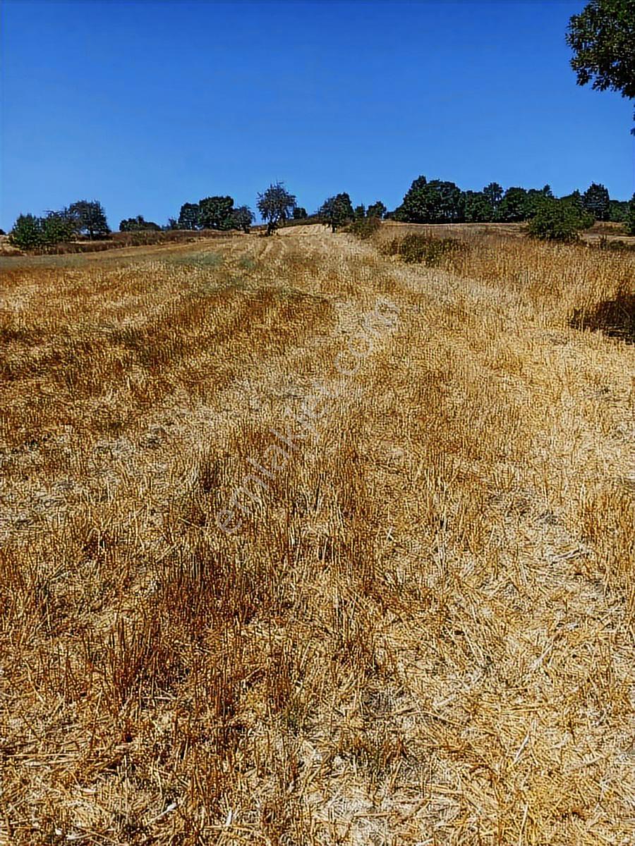 Sinerji'den Mkemalpaşa Devecikonağında 3.700 M² Fırsat Arazi - Görsel 7