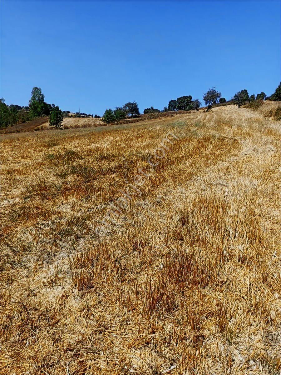 Sinerji'den Mkemalpaşa Devecikonağında 3.700 M² Fırsat Arazi - Görsel 8