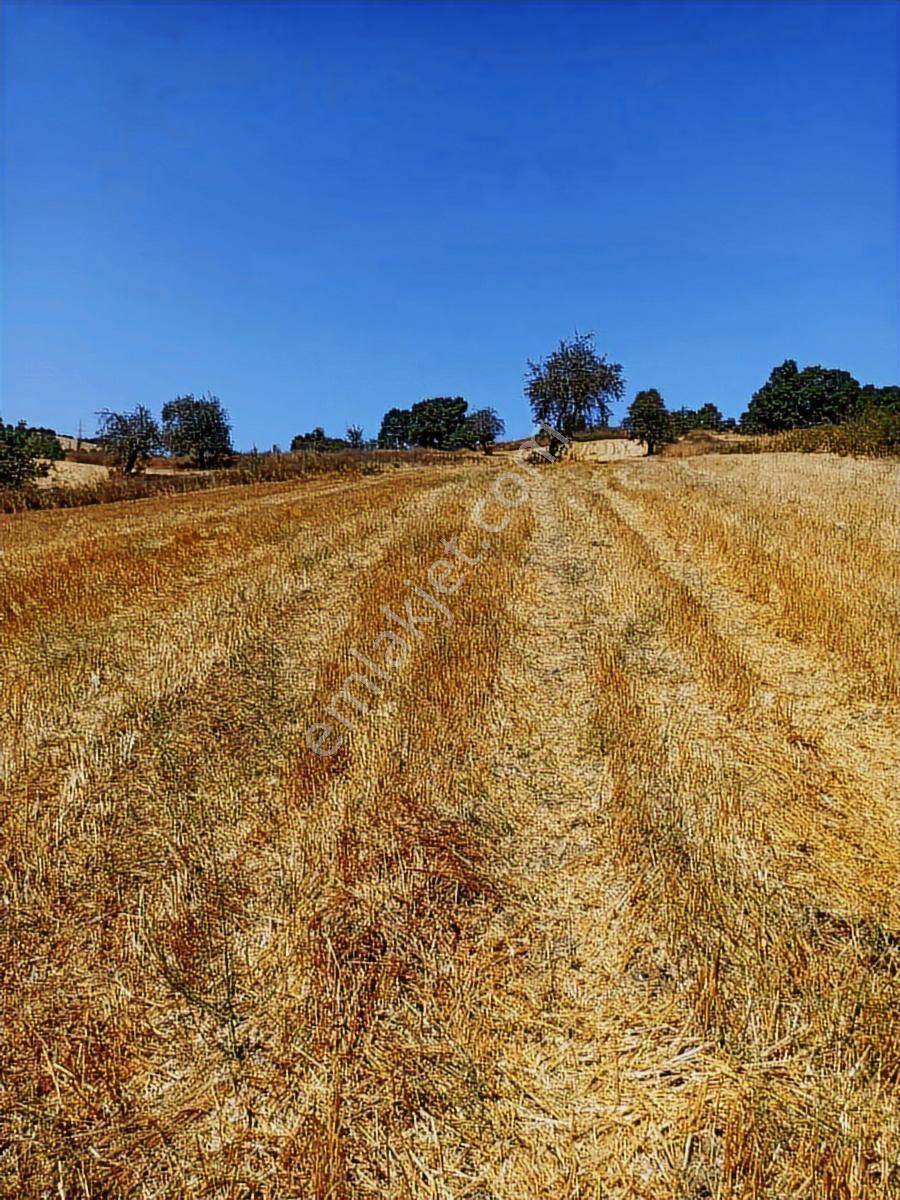 Sinerji'den Mkemalpaşa Devecikonağında 3.700 M² Fırsat Arazi