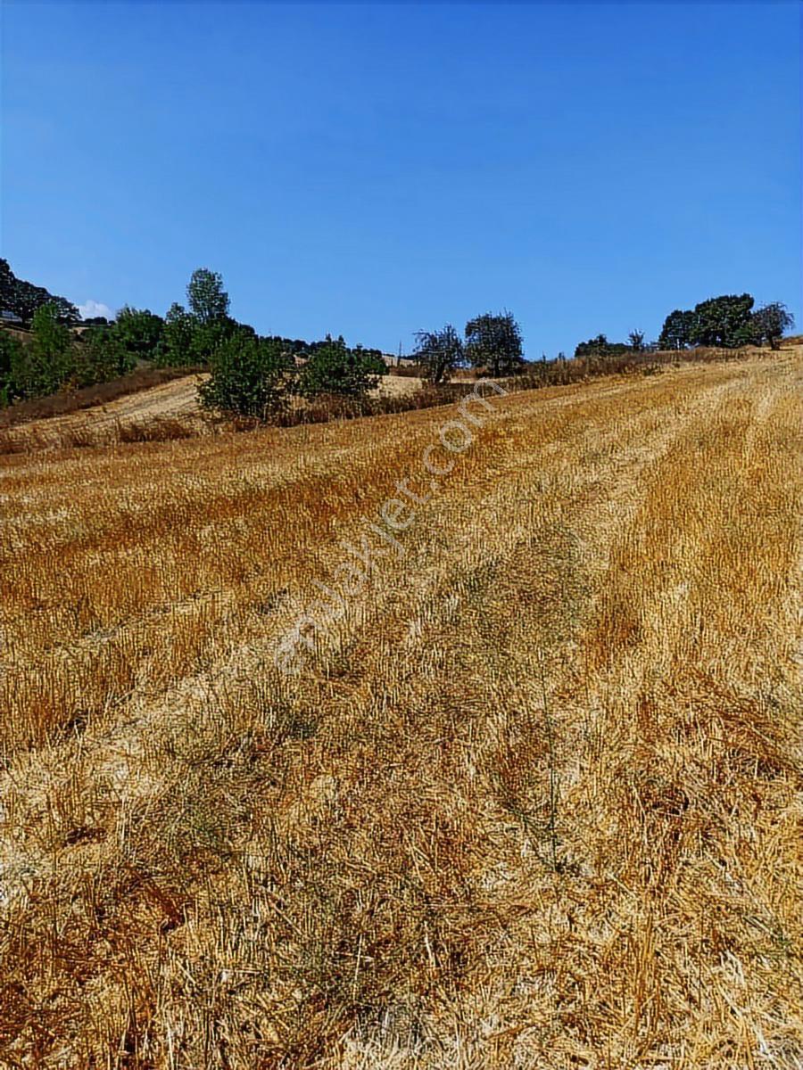 Sinerji'den Mkemalpaşa Devecikonağında 3.700 M² Fırsat Arazi - Görsel 4