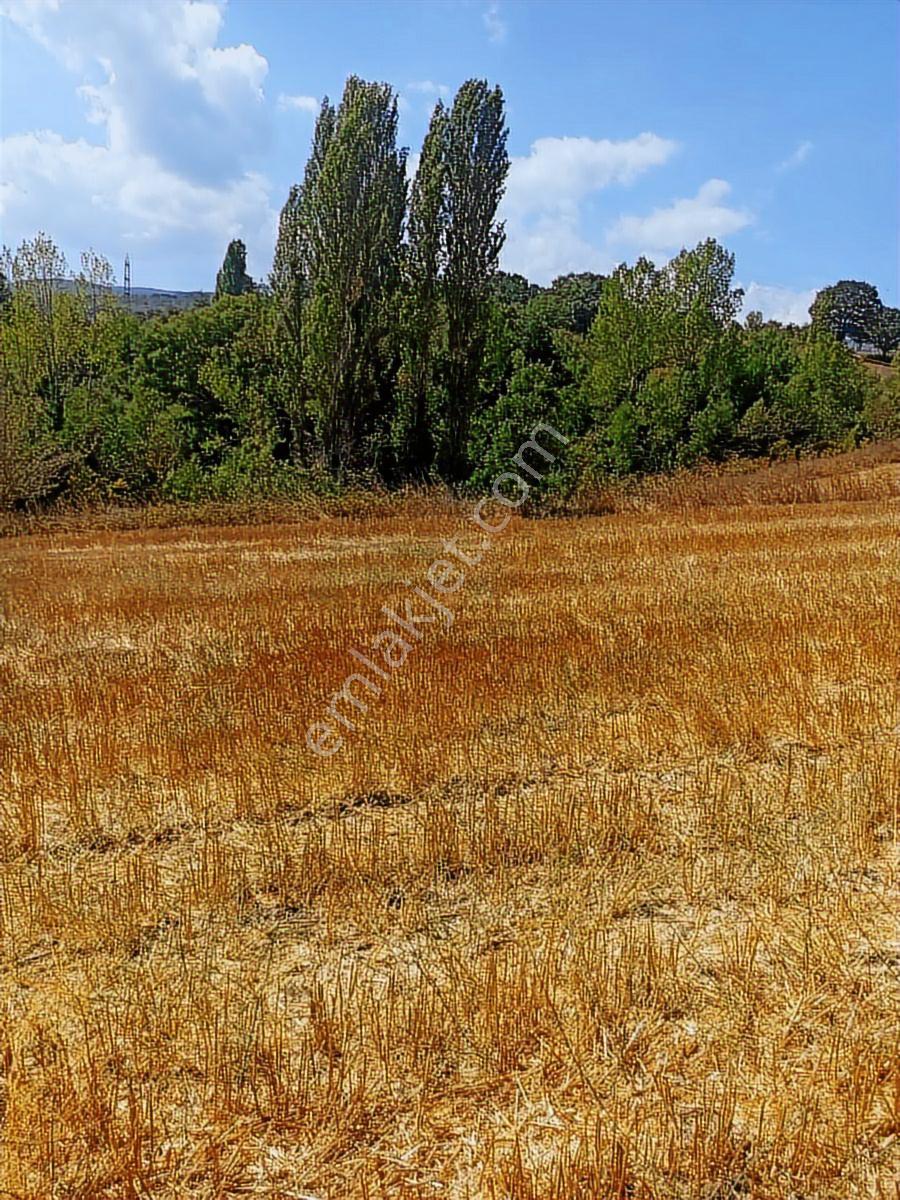 Sinerji'den Mkemalpaşa Devecikonağında 3.700 M² Fırsat Arazi - Görsel 3