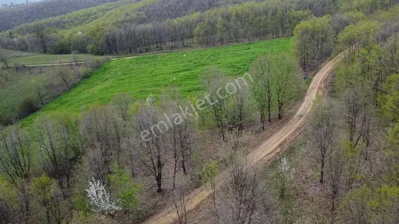 Sinerji'den Bursa İnegöl Güzelyurtta Yola Cephe Fırsat Arazi