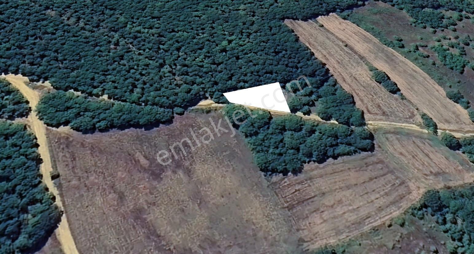Sinerji'den Bursa İnegöl Güzelyurtta Yola Cephe Fırsat Arazi - Görsel 23