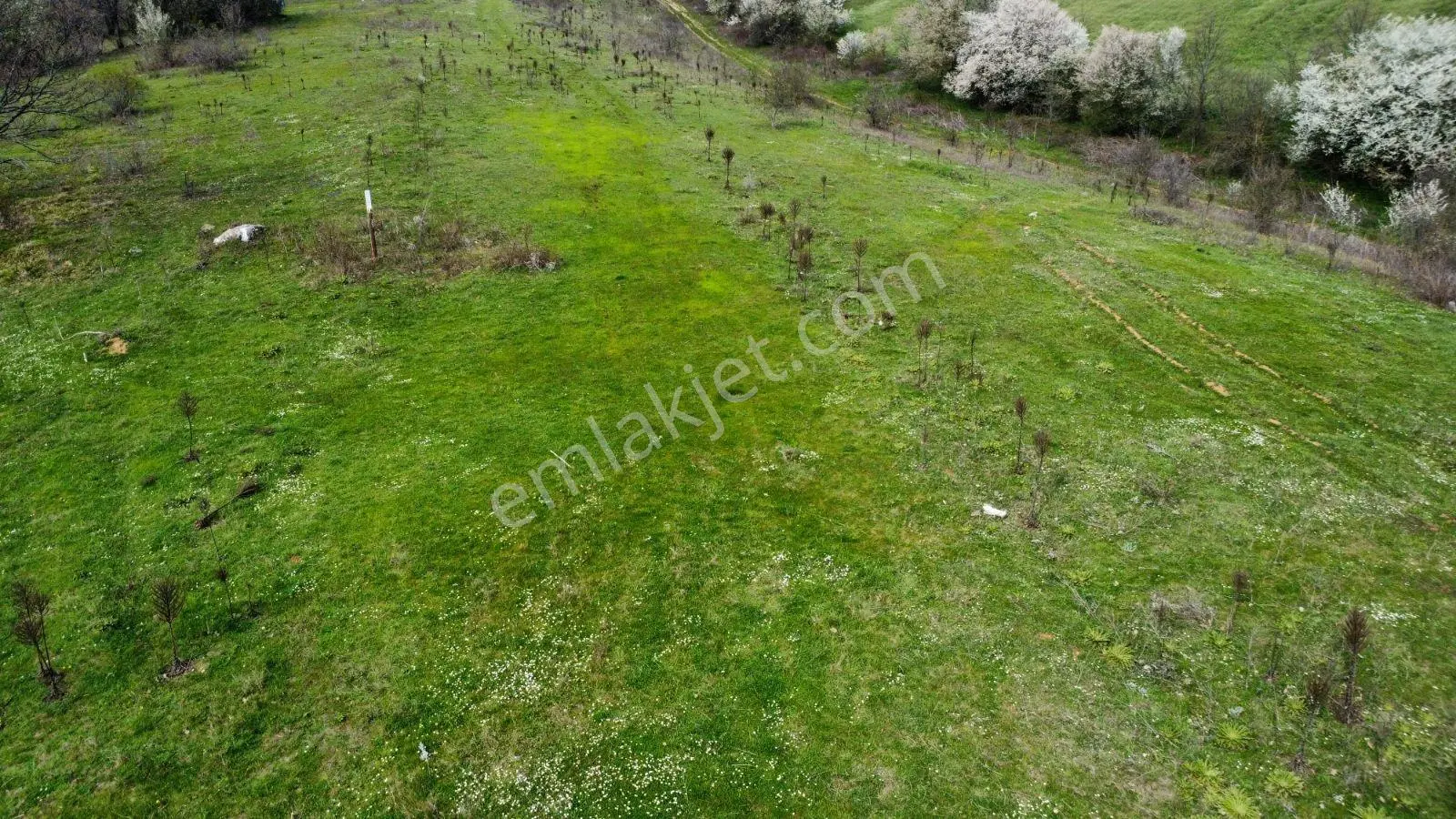 Sinerji'den Bilecik Pazaryeri Nazifpaşa Köy Dibinde Fırsat Arazi - Görsel 8