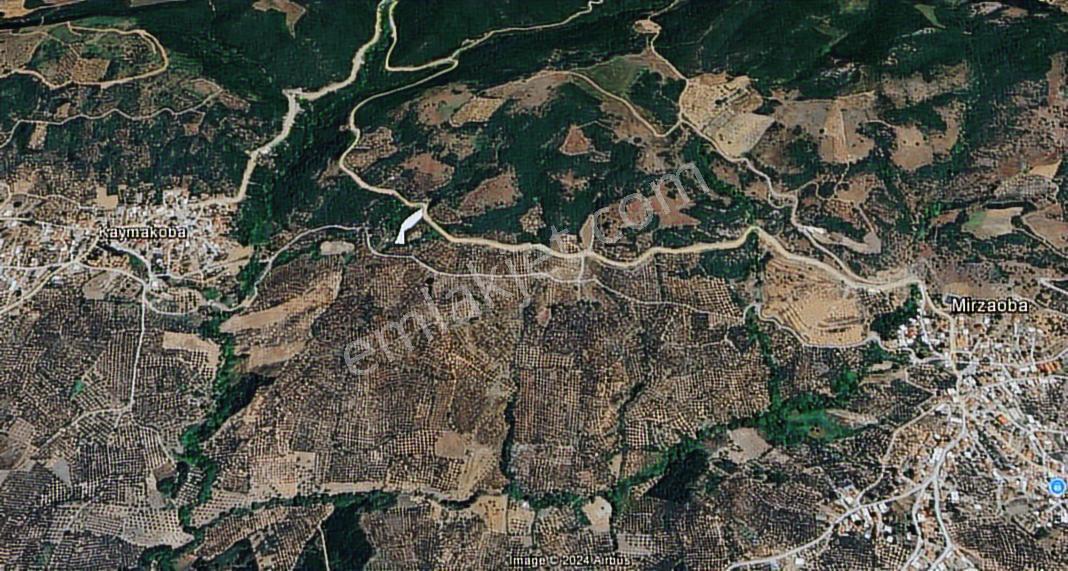 Sinerji'den Mudanya Kaymakoba Köydibinde Satılık Zeytinlik - Görsel 15