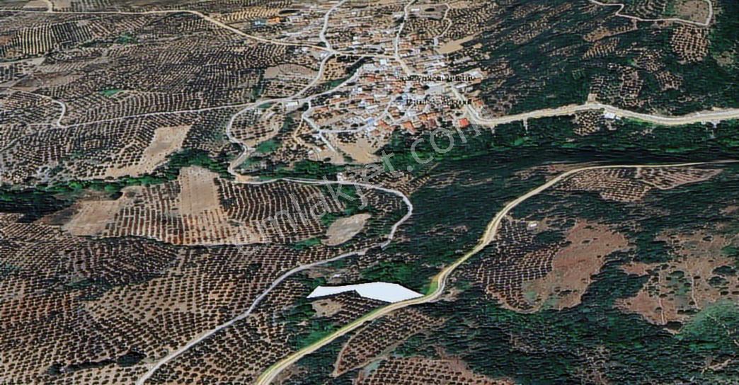 Sinerji'den Mudanya Kaymakoba Köydibinde Satılık Zeytinlik - Görsel 17
