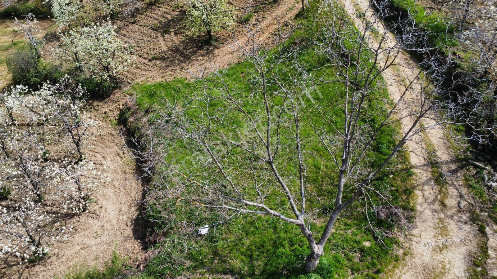 Sinerji'den İnegöl Turgutalp Köyü Dibinde Fırsat 2 Parça Arazi - Görsel 13