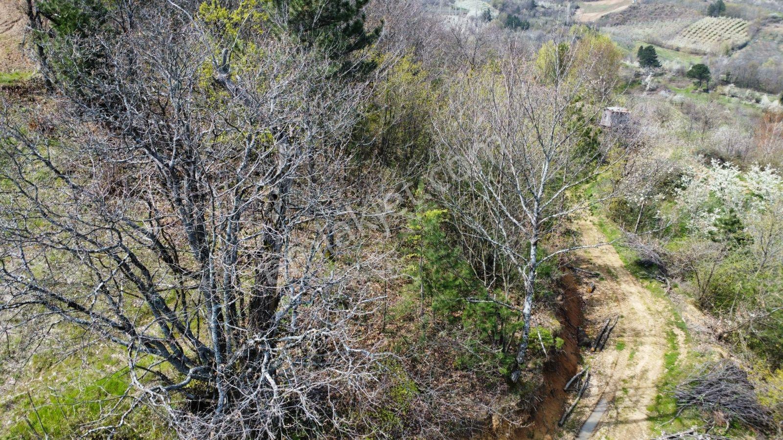 Sinerji'den İnegöl Turgutalp Köyü Dibinde Fırsat 2 Parça Arazi - Görsel 8