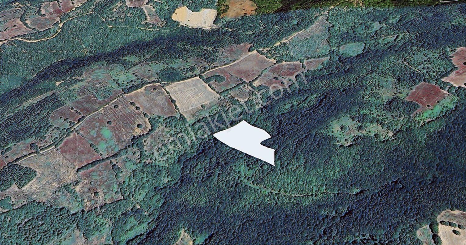 Sinerji'den İnegöl Güzelyurt Köyünde Satılık 11.646 M2 Arazi - Görsel 4