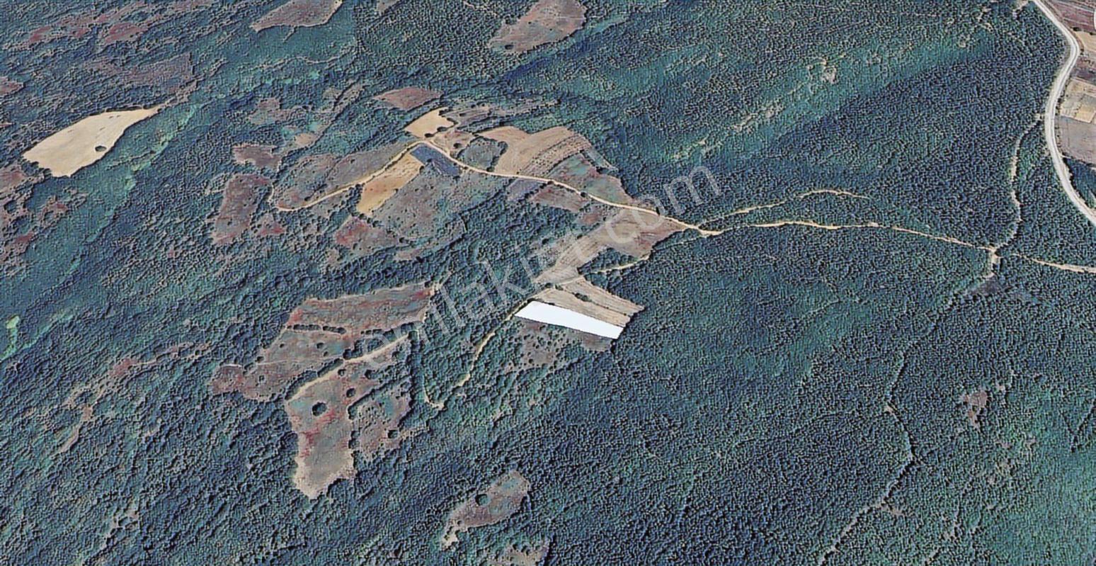 Sinerji'den İnegöl Güzelyurt Köyünde Yola Cephe Fırsat Arazi - Görsel 5