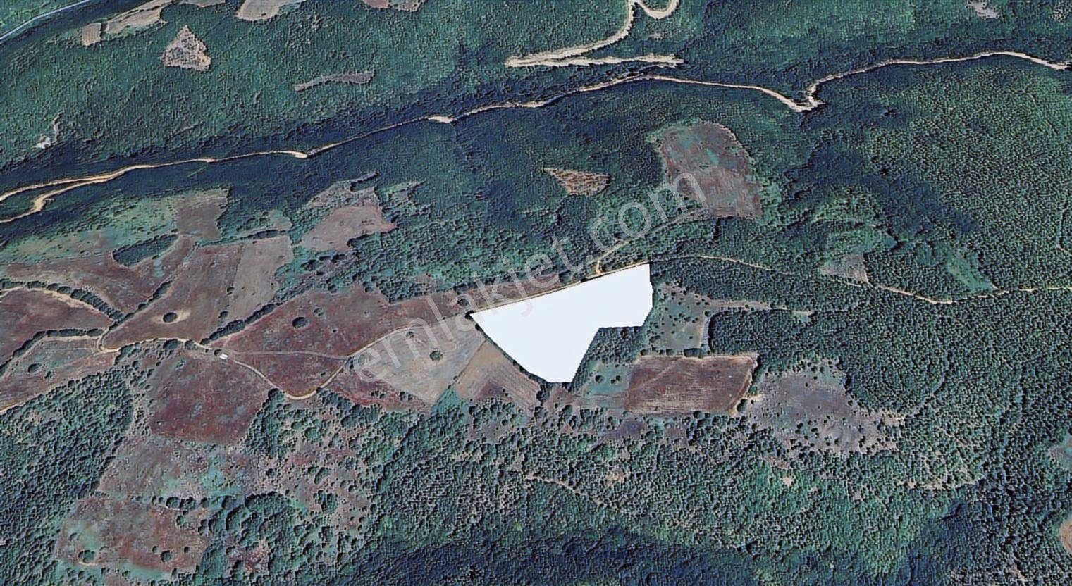 Sinerji'den Bilecik Pazaryeri Nazifpaşa Da Yola Cephe 15.662 M2 - Görsel 3