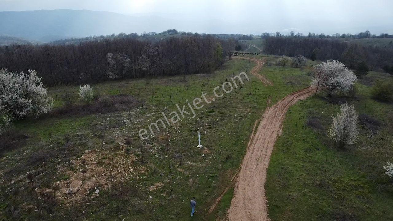 Sinerji'den Bilecik Pazaryeri Nazifpaşa Da Köye Yakın Arazi - Görsel 27