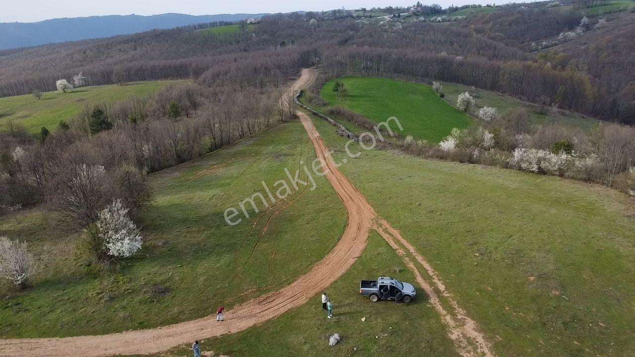 Sinerji'den Bilecik Pazaryeri Nazifpaşa Da Köye Yakın Arazi - Görsel 14