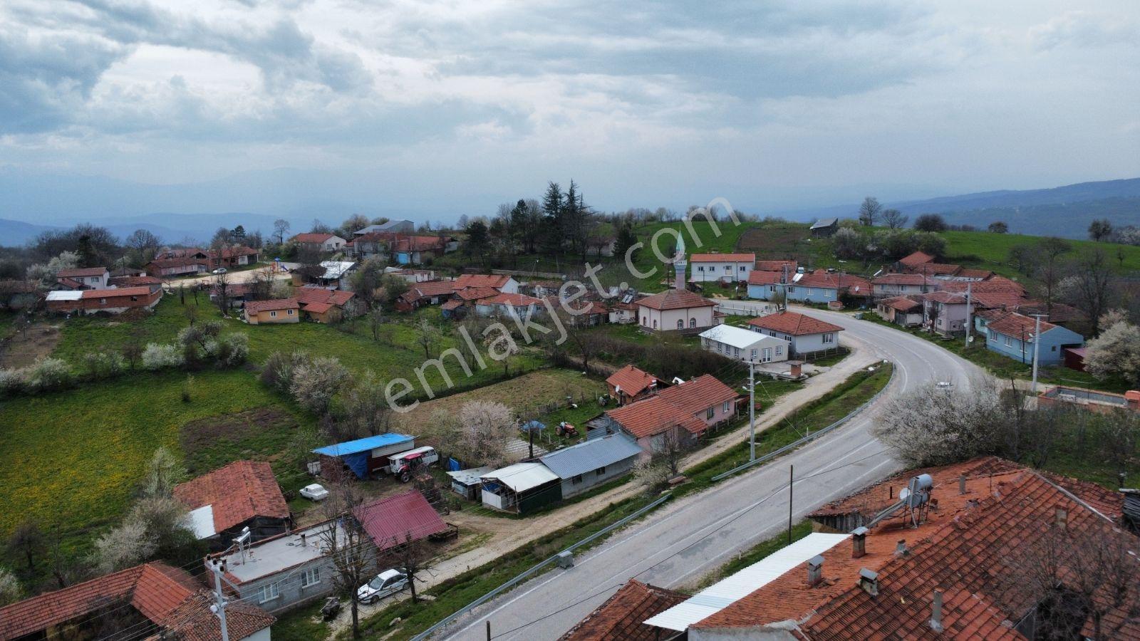 Sinerji'den Bilecek De Doğayla İç İçe Geniş Arazili Köy Evi - Görsel 19