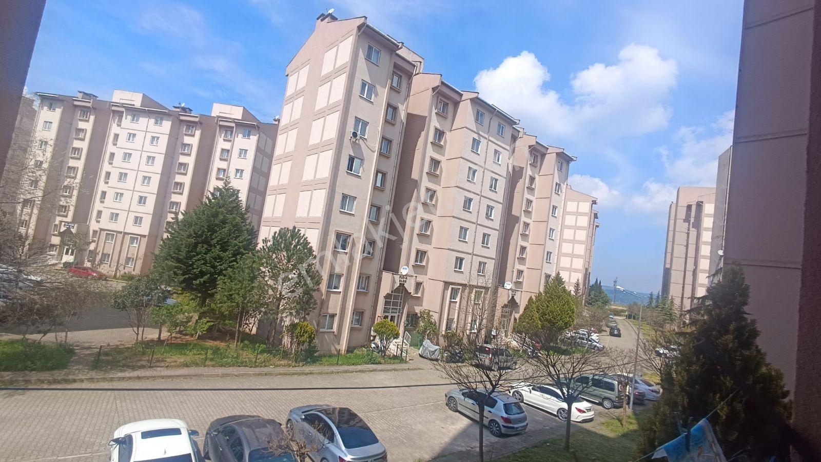 Sinerji'den Hamitler Tokide Satılık 2+1 Daire