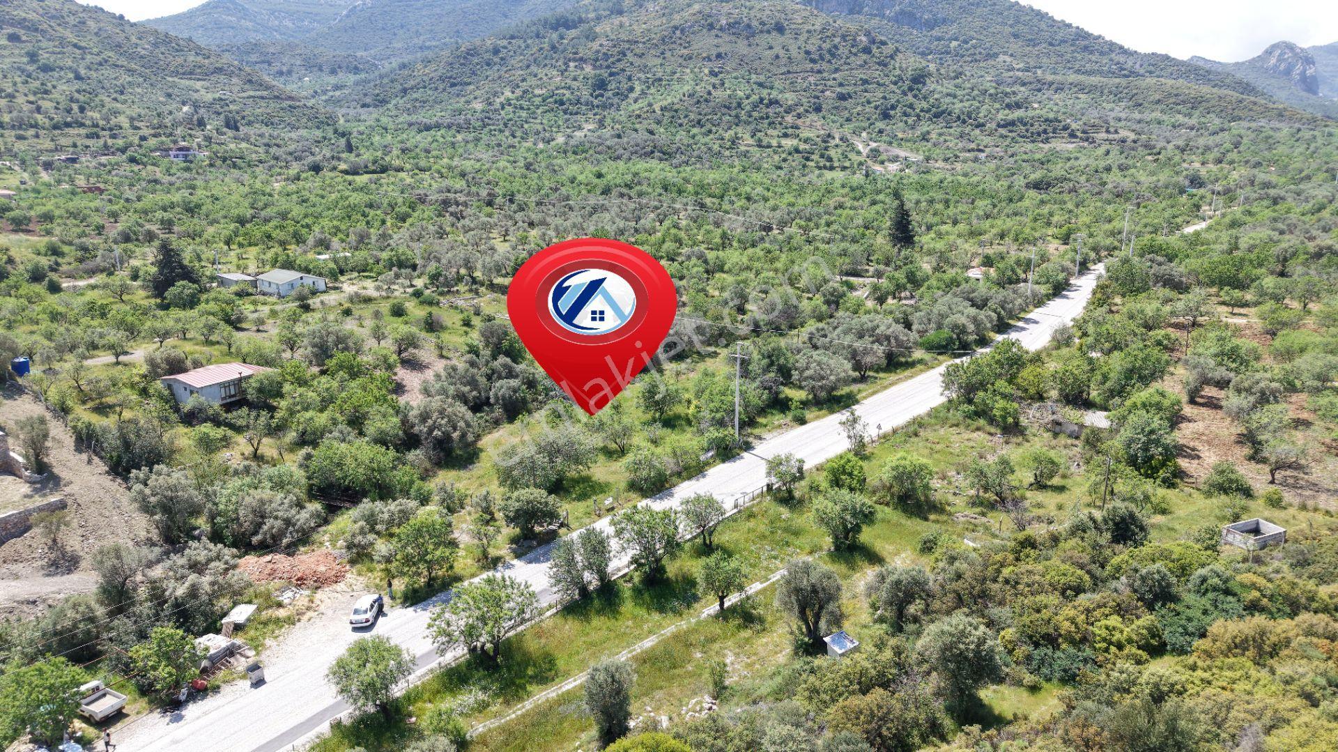 Datça Hızırşah'ta Ana Yola Sıfır 2.965m² Tarla - Yatırım Fırsatı - Görsel 4