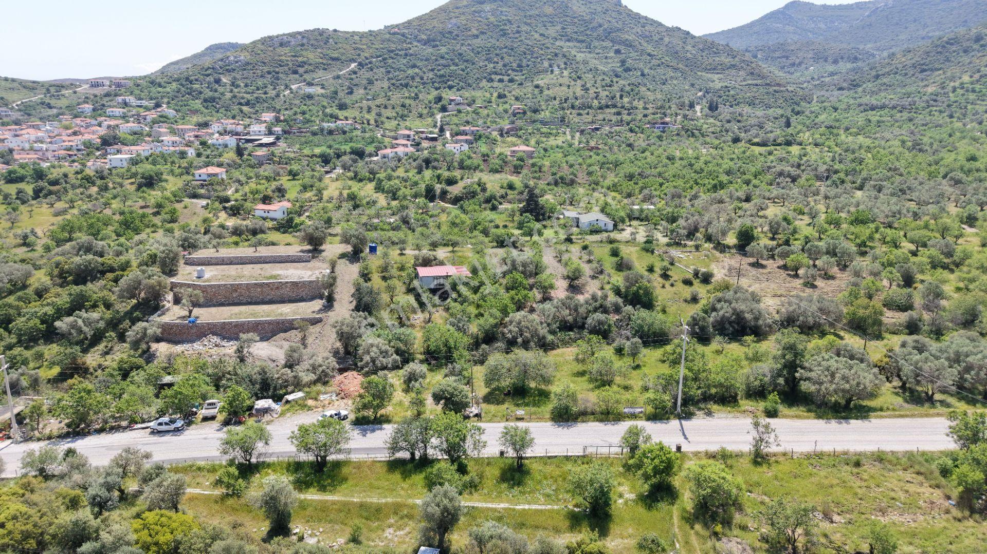 Datça Hızırşah'ta Ana Yola Sıfır 2.965m² Tarla - Yatırım Fırsatı - Görsel 8