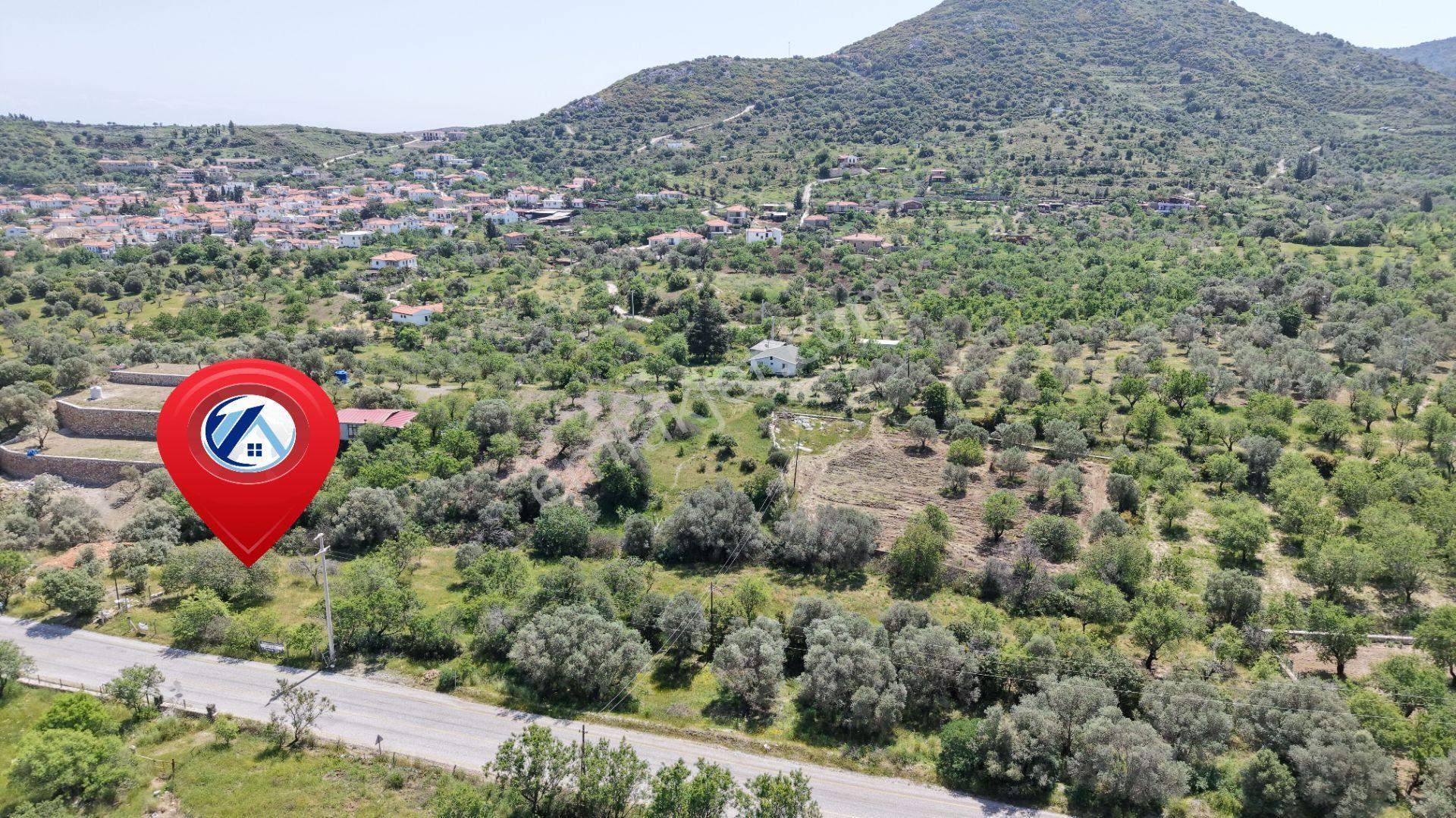 Datça Hızırşah'ta Ana Yola Sıfır 2.965m² Tarla - Yatırım Fırsatı - Görsel 11