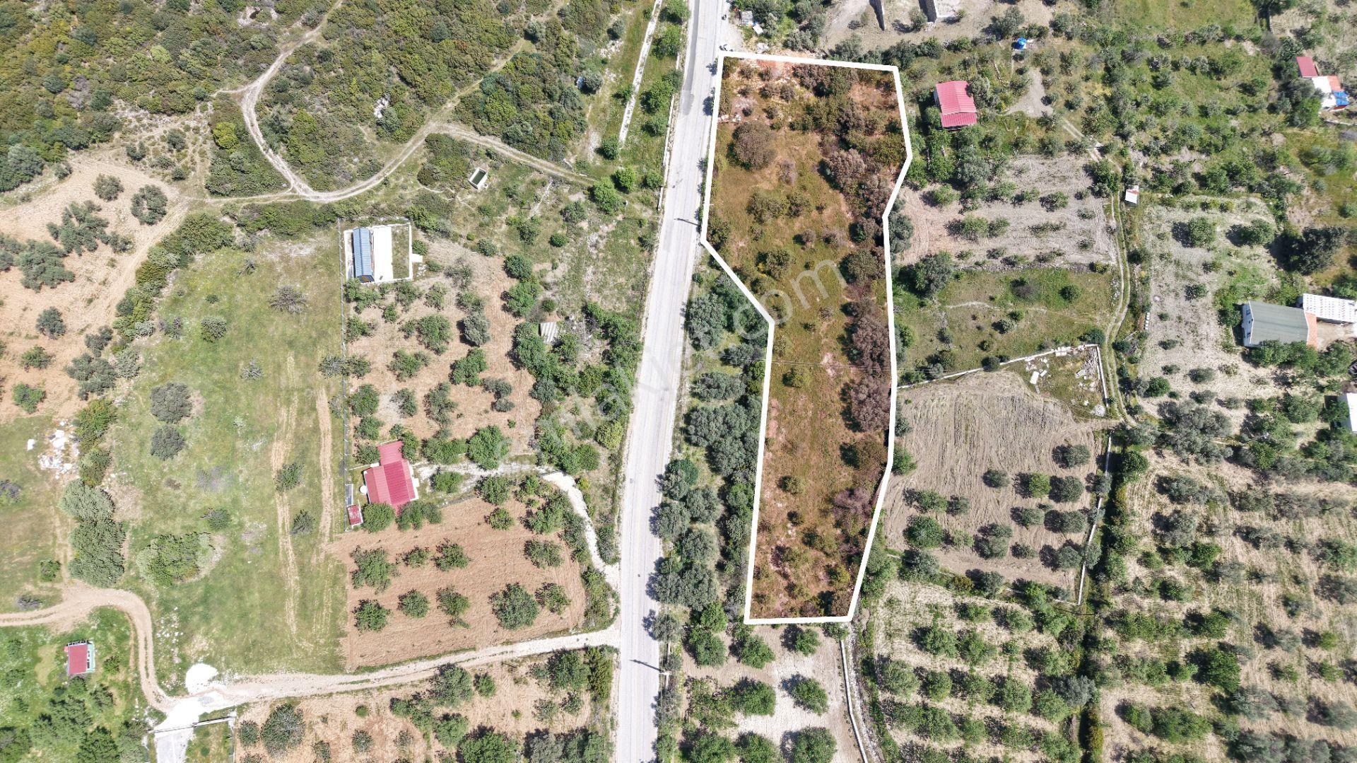 Datça Hızırşah'ta Ana Yola Sıfır 2.965m² Tarla - Yatırım Fırsatı - Görsel 34
