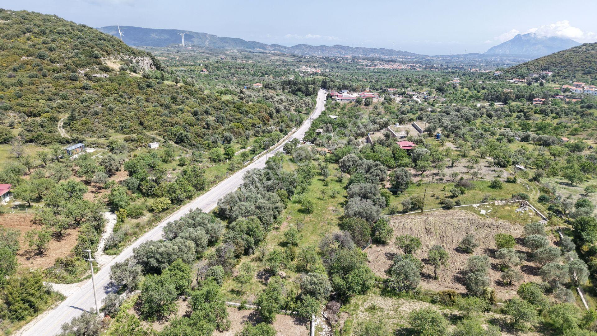 Datça Hızırşah'ta Ana Yola Sıfır 2.965m² Tarla - Yatırım Fırsatı - Görsel 19