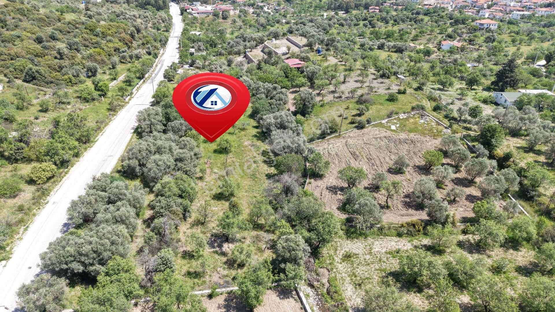 Datça Hızırşah'ta Ana Yola Sıfır 2.965m² Tarla - Yatırım Fırsatı - Görsel 14