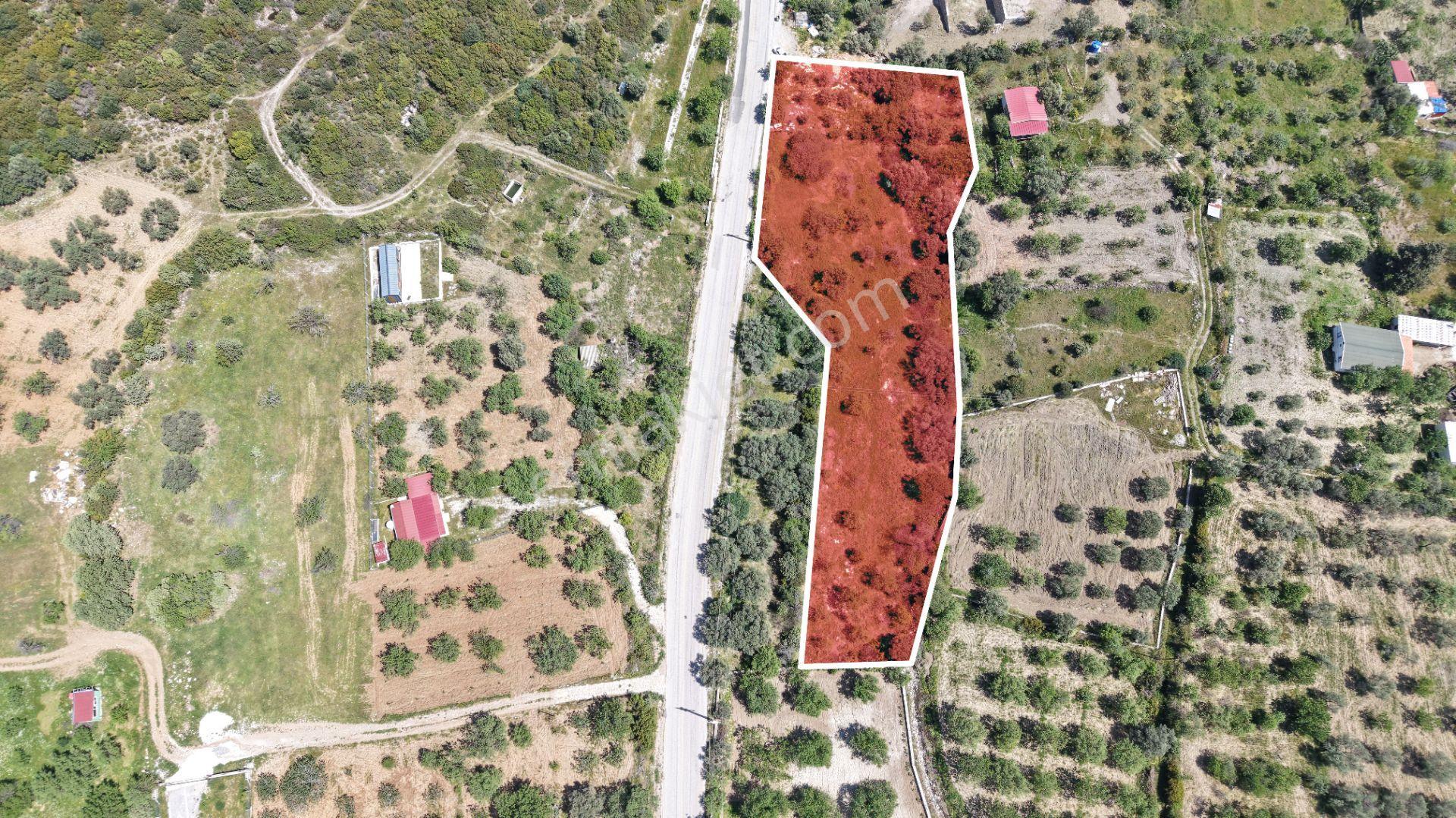 Datça Hızırşah'ta Ana Yola Sıfır 2.965m² Tarla - Yatırım Fırsatı - Görsel 31
