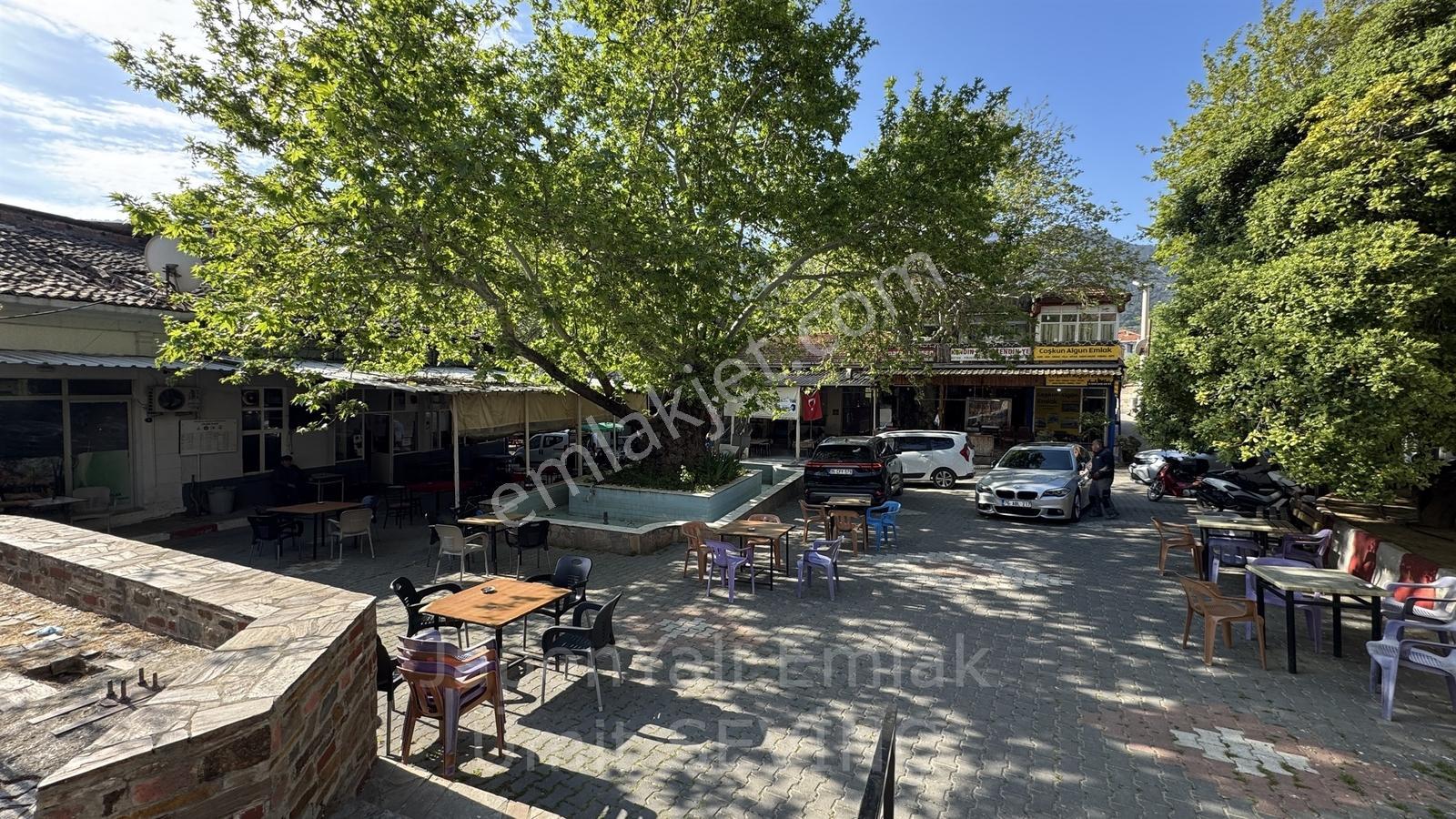 İzmir Kemalpaşa Yukarı Kızılcada Satılık Zeytinlik Arazi - Görsel 26
