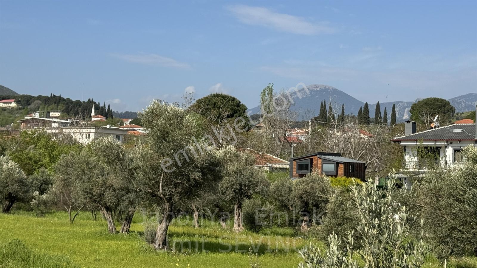 İzmir Kemalpaşa Yukarı Kızılcada Satılık Zeytinlik Arazi - Görsel 2