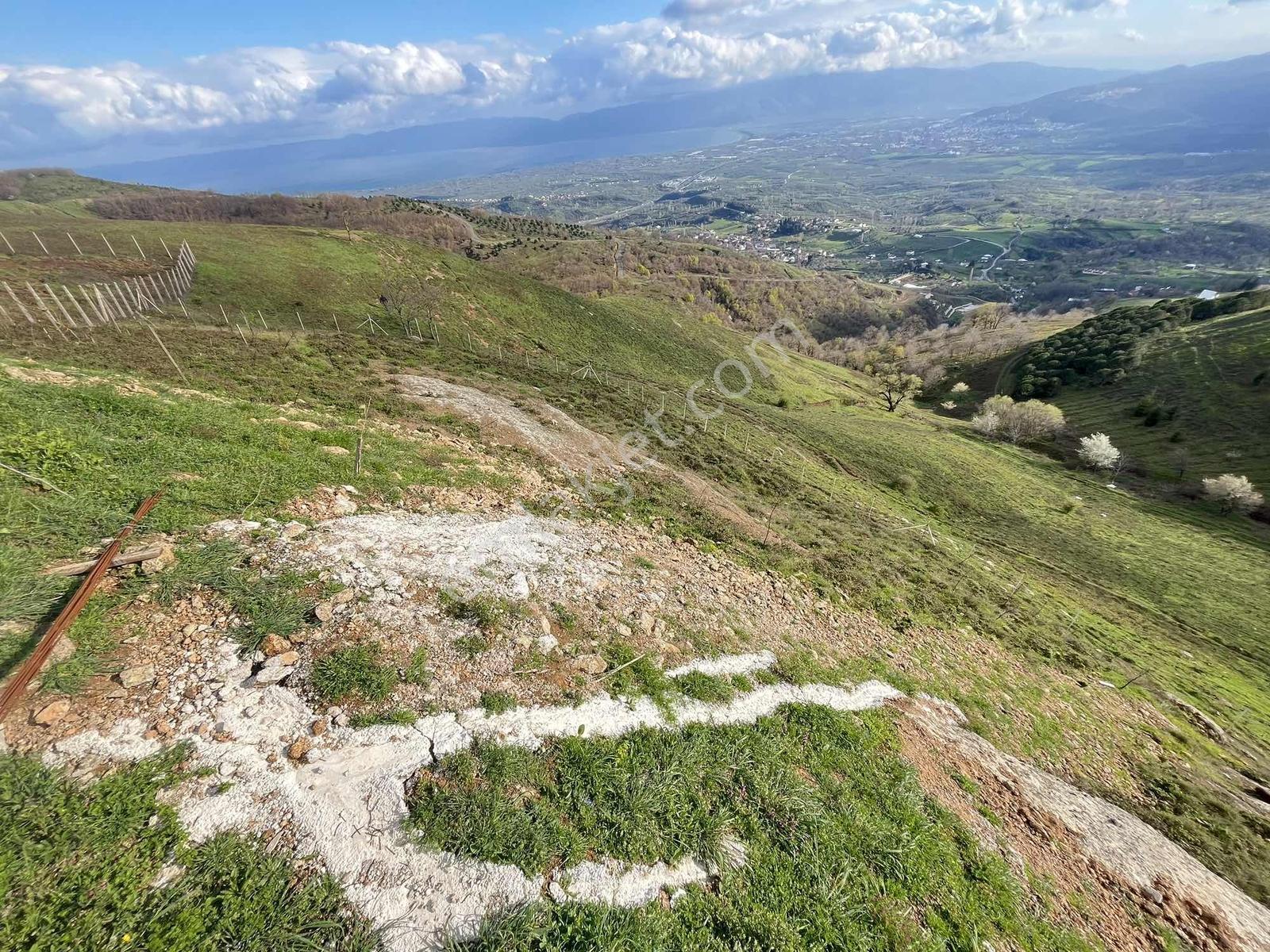 Yalova Merkez Göl Ve Deniz Manzaralı Müstakil Arazi - Görsel 9