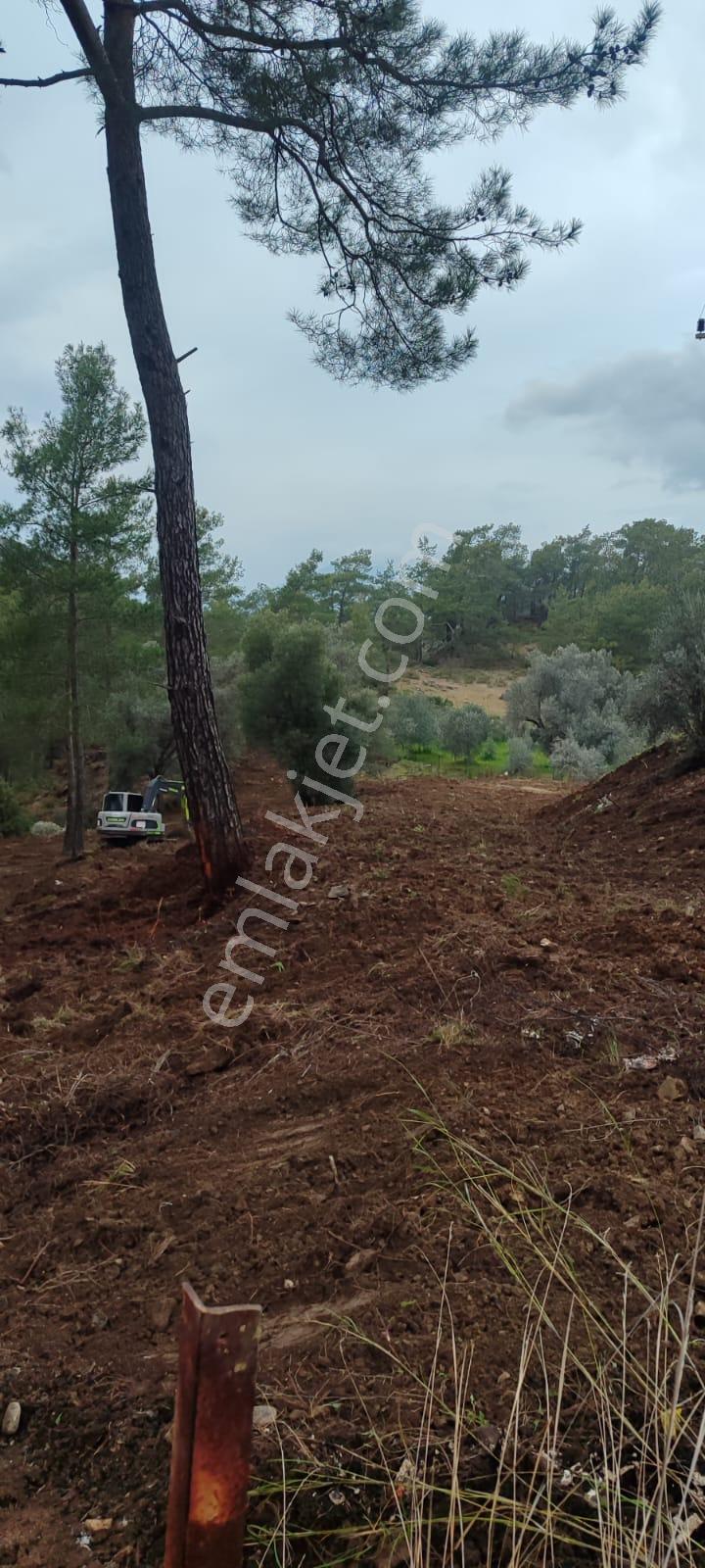 Fethiye Göcek'te Satılık 1278 M Tarla - Görsel 2