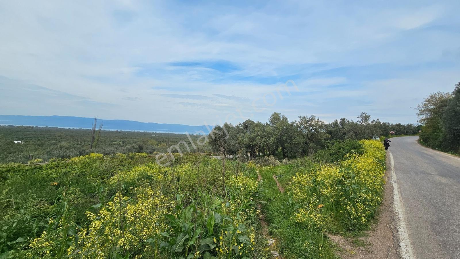 Orhangazi Sölöz'de 275 M² Yatırımlık İmarlı Göl Manzaralı Arsa - Görsel 24