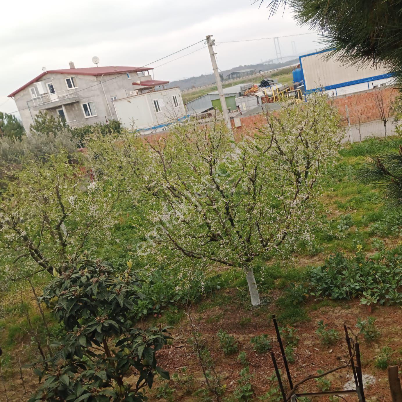 Köprü Manzaralı Arsa - Görsel 3