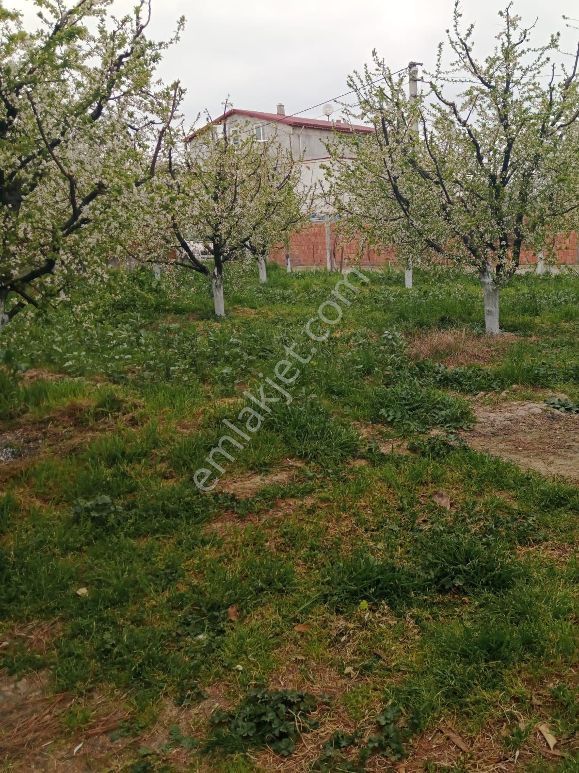 Köprü Manzaralı Arsa - Görsel 5