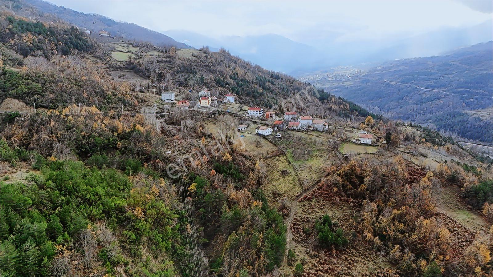 Kastamonu Çatalzeytin Duran 4.837 M2 Fırsat Tarla